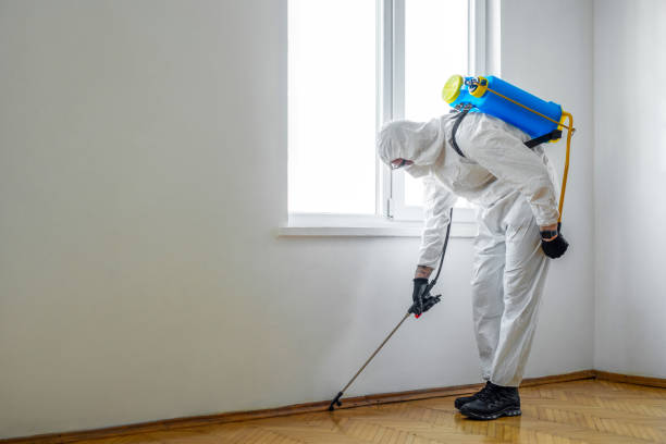 Trusted Allardt, TN Pest Control Experts
