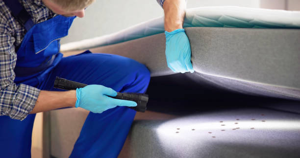 Wasp Removal Services in Allardt, TN